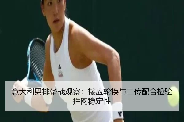 yi-da-li-nan-pai-bei-zhan-guan-cha-jie-ying-lun-huan-yu-er-chuan-pei-he-jian-yan-lan-wang-wen-ding-xing-3-508.jpg
